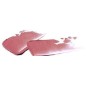 COULEUR CARAMEL PINTALABIOS Nº243 HIBISCUS 3,5G
